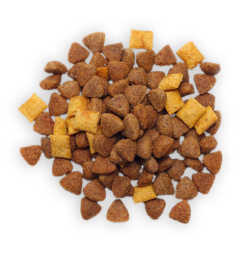 Dog food food-transparent-18